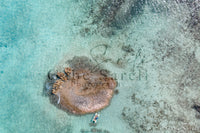 conch shell island